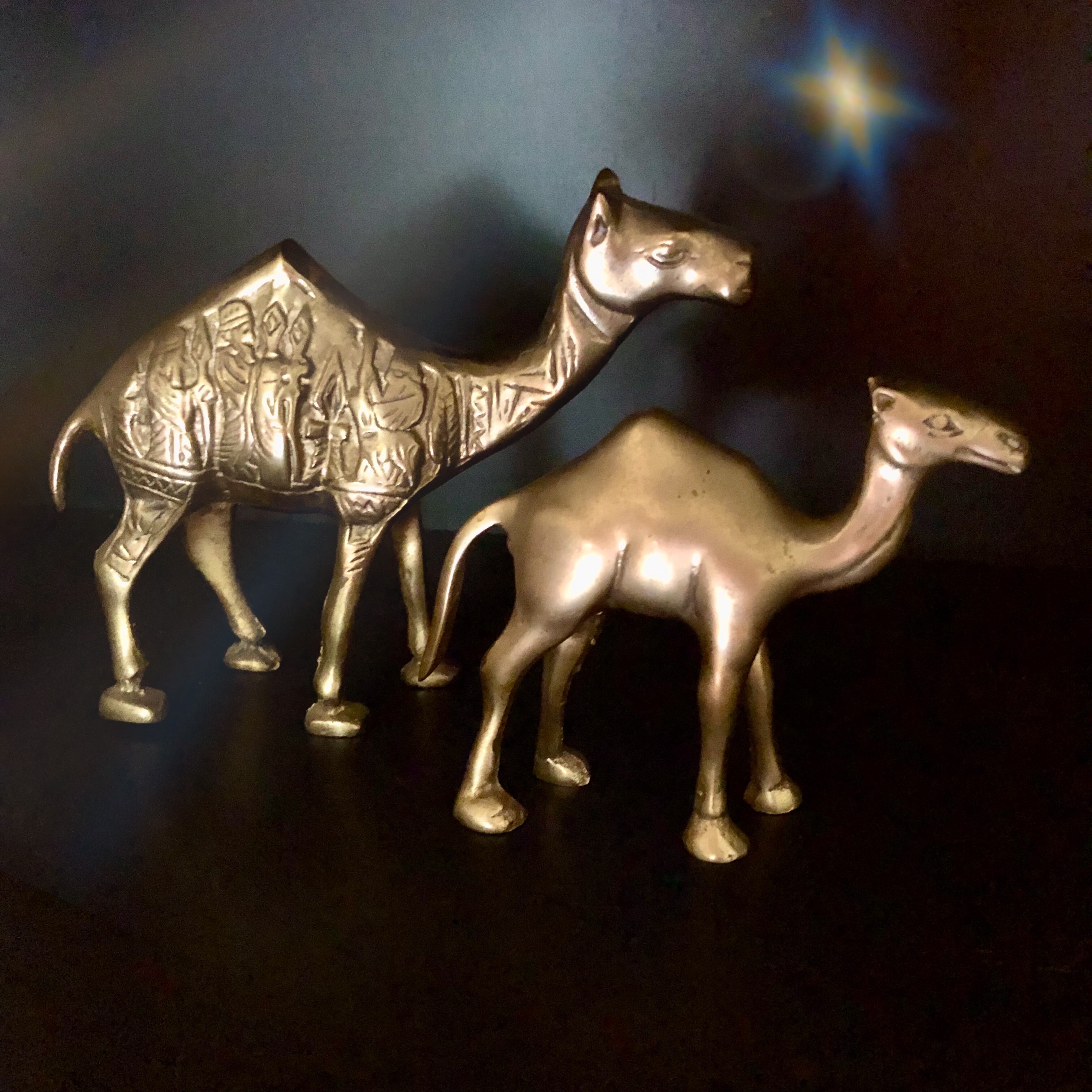 Two Camels Patterns The Gift of the Journey: A Tale of Two Camels – Kamille Grace | Where ...